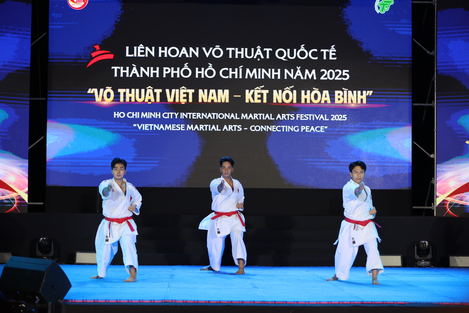 Li&ecirc;n hoan V&otilde; thuật Quốc tế TP HCM 2025: T&ocirc;n vinh tinh thần thượng v&otilde;, lan tỏa th&ocirc;ng điệp h&ograve;a b&igrave;nh - Ảnh 1.