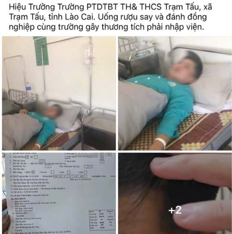 - Ảnh 1.
