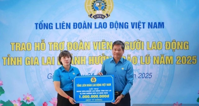 Tổng LĐLĐ và các địa phương hỗ trợ hơn 1,5 tỉ đồng cho người lao động Gia Lai - Ảnh 1.