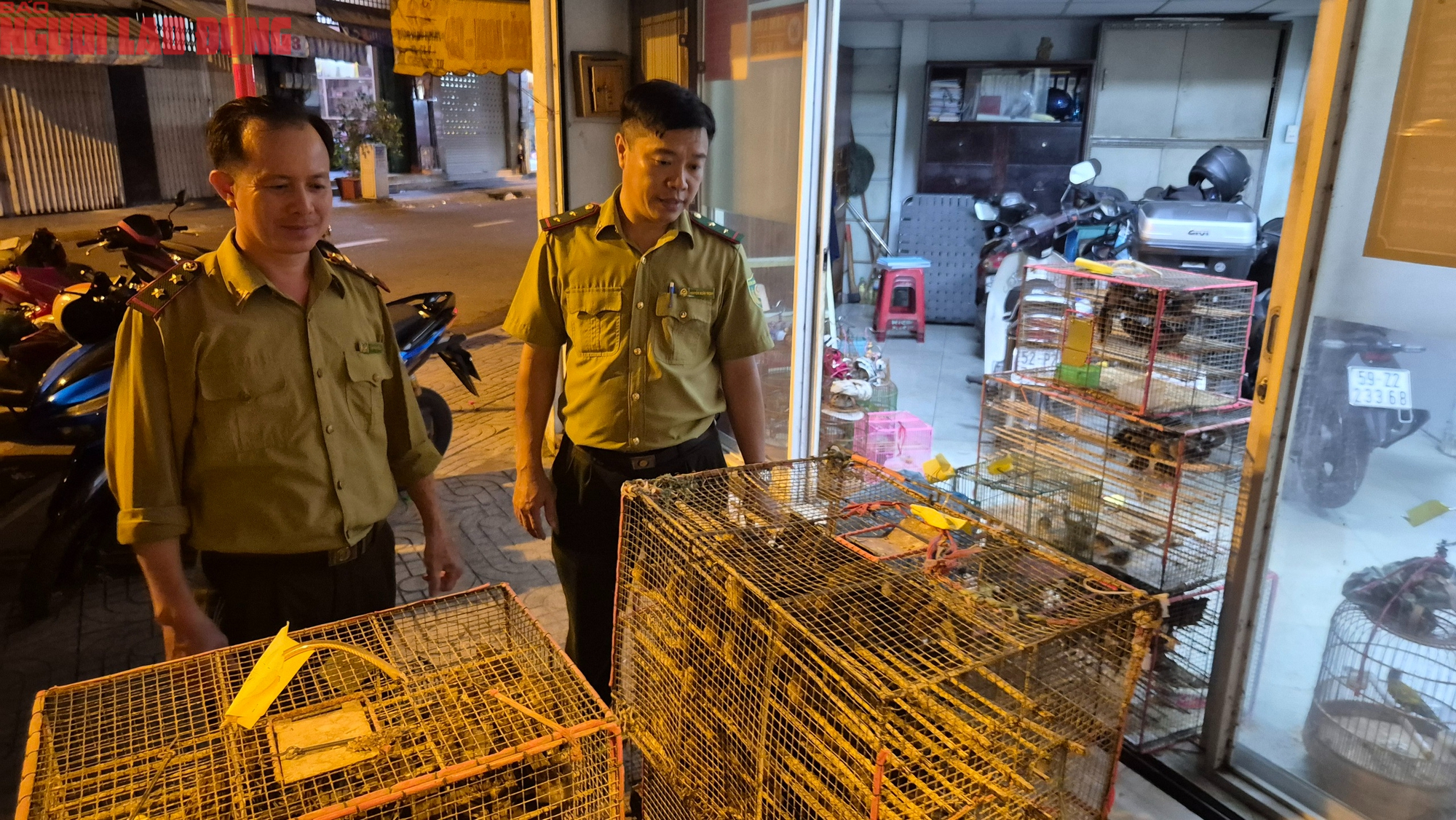 TPHCM xử lý tiểu thương lấn chiếm lòng đường bán chim hoang dã trái phép - Ảnh 2.