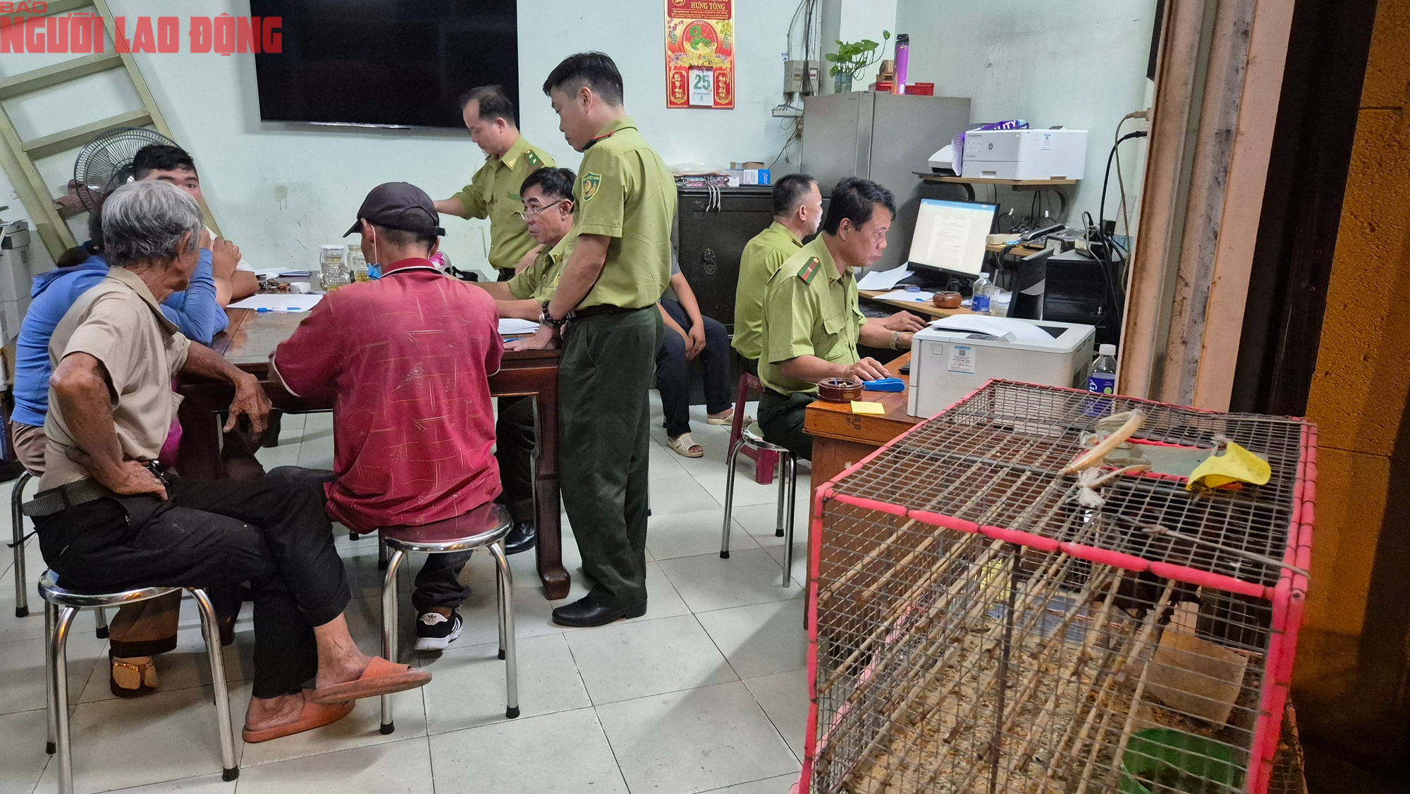 TPHCM xử lý tiểu thương lấn chiếm lòng đường bán chim hoang dã trái phép - Ảnh 8.
