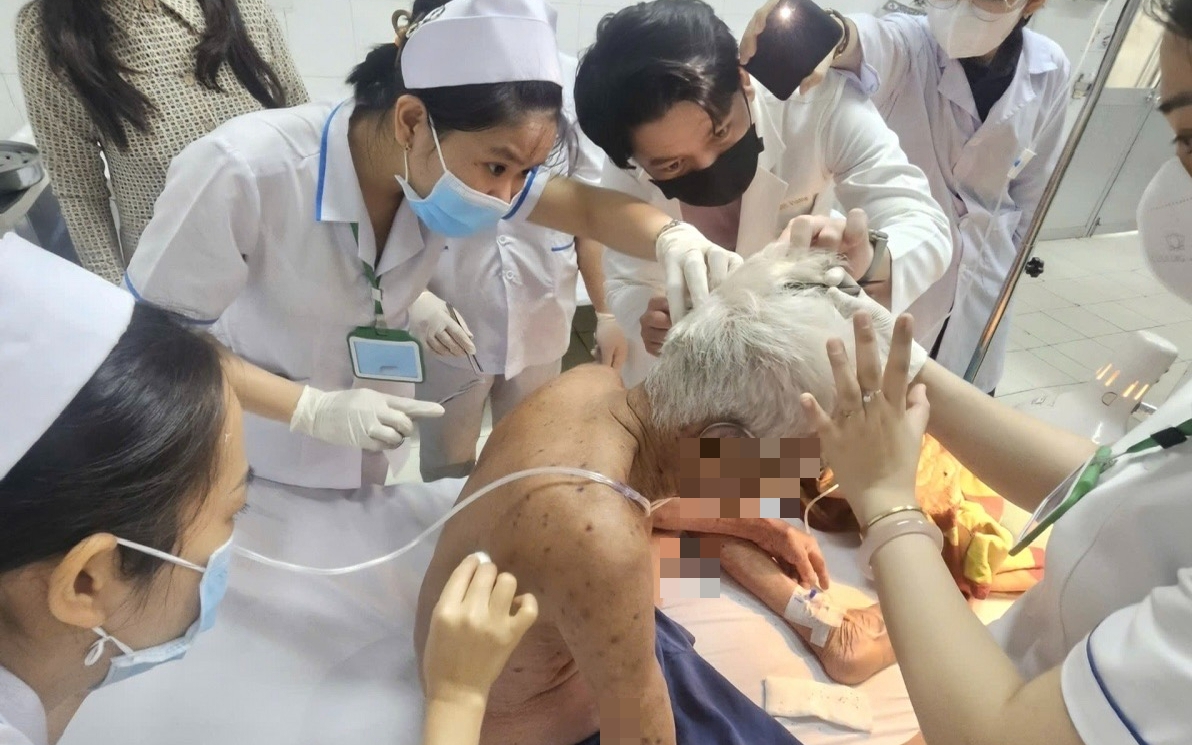 Cụ ông 74 tuổi ở Đồng Tháp bị ong đốt hơn 100 mũi đã tử vong