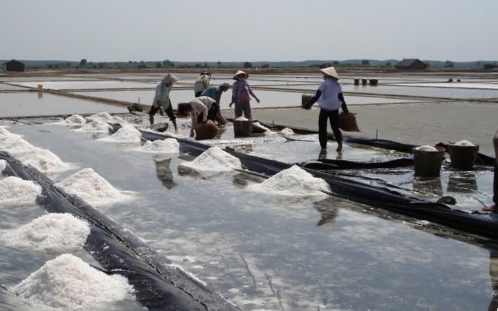 100 món muối độc đáo cùng áo dài Việt được vinh danh - Ảnh 3.