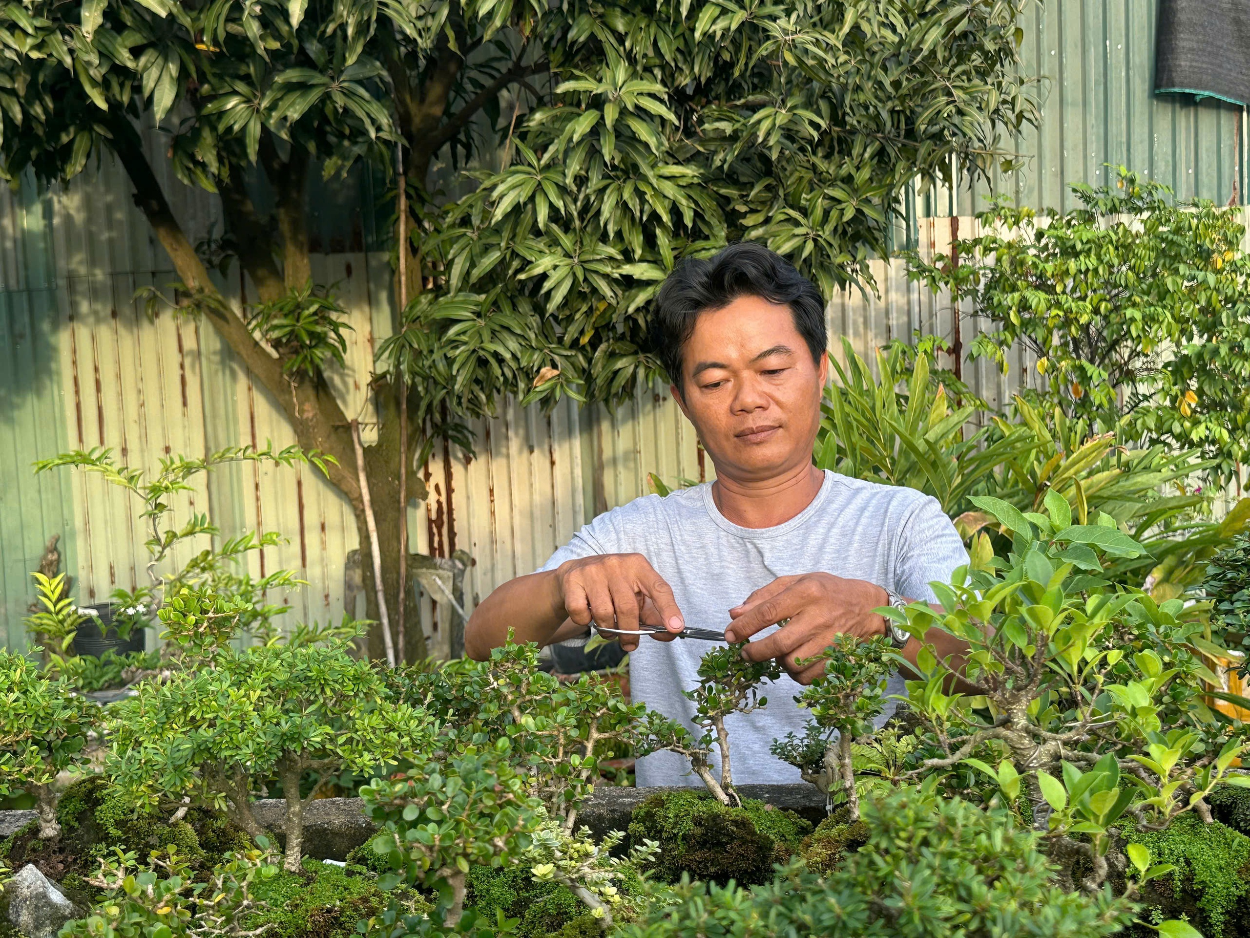 Làng cây kiểng Thủ Đức: Níu sắc xanh cho lòng phố thị - Ảnh 4.
