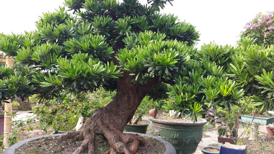 Một bị c&aacute;o ở Thanh H&oacute;a được giảm &aacute;n 10 th&aacute;ng t&ugrave; do ủng hộ người ngh&egrave;o 1 triệu đồng - Ảnh 1.