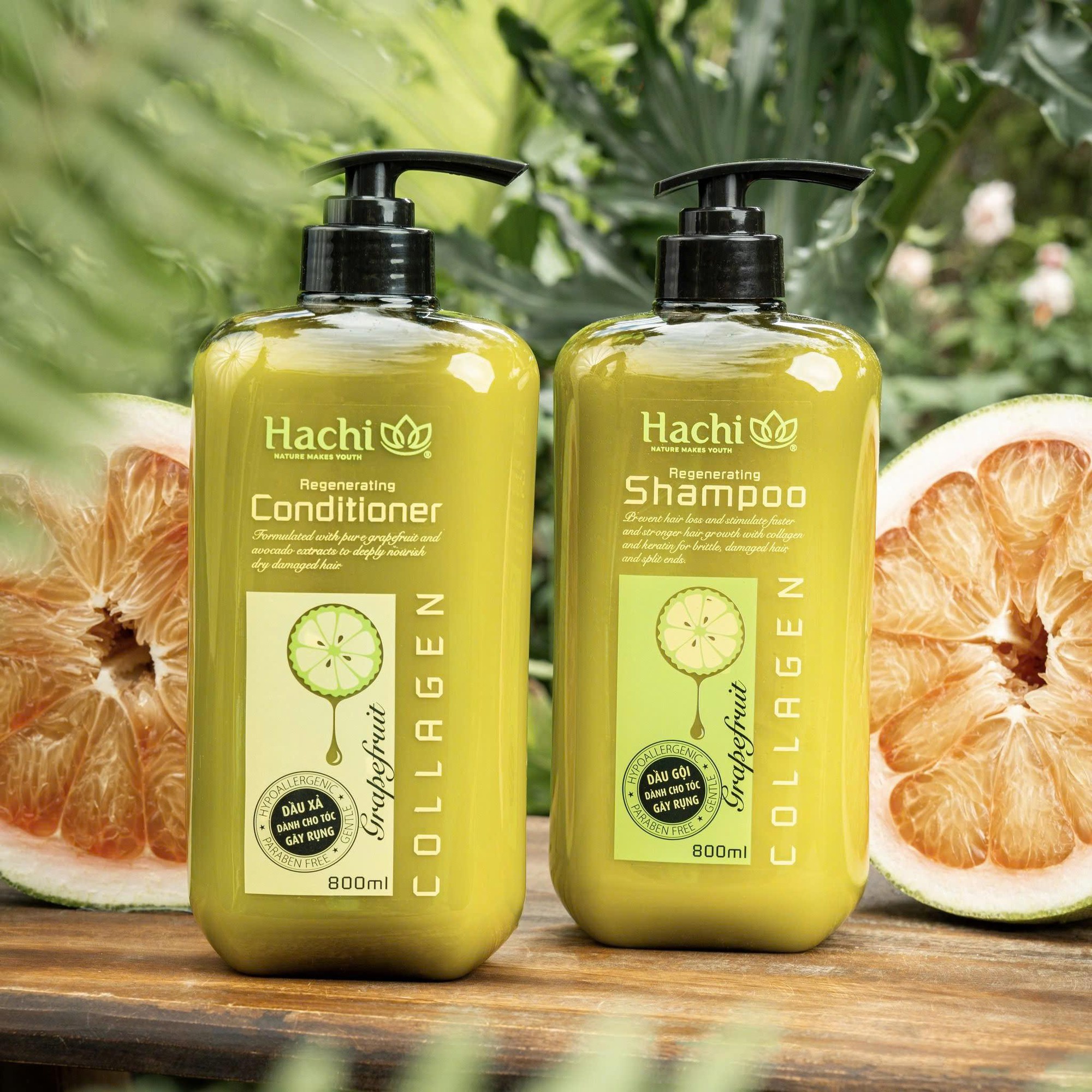 Hachi ra mắt bộ đôi gội xả Bưởi Bơ Regenerating cho tóc gãy rụng - Ảnh 2.