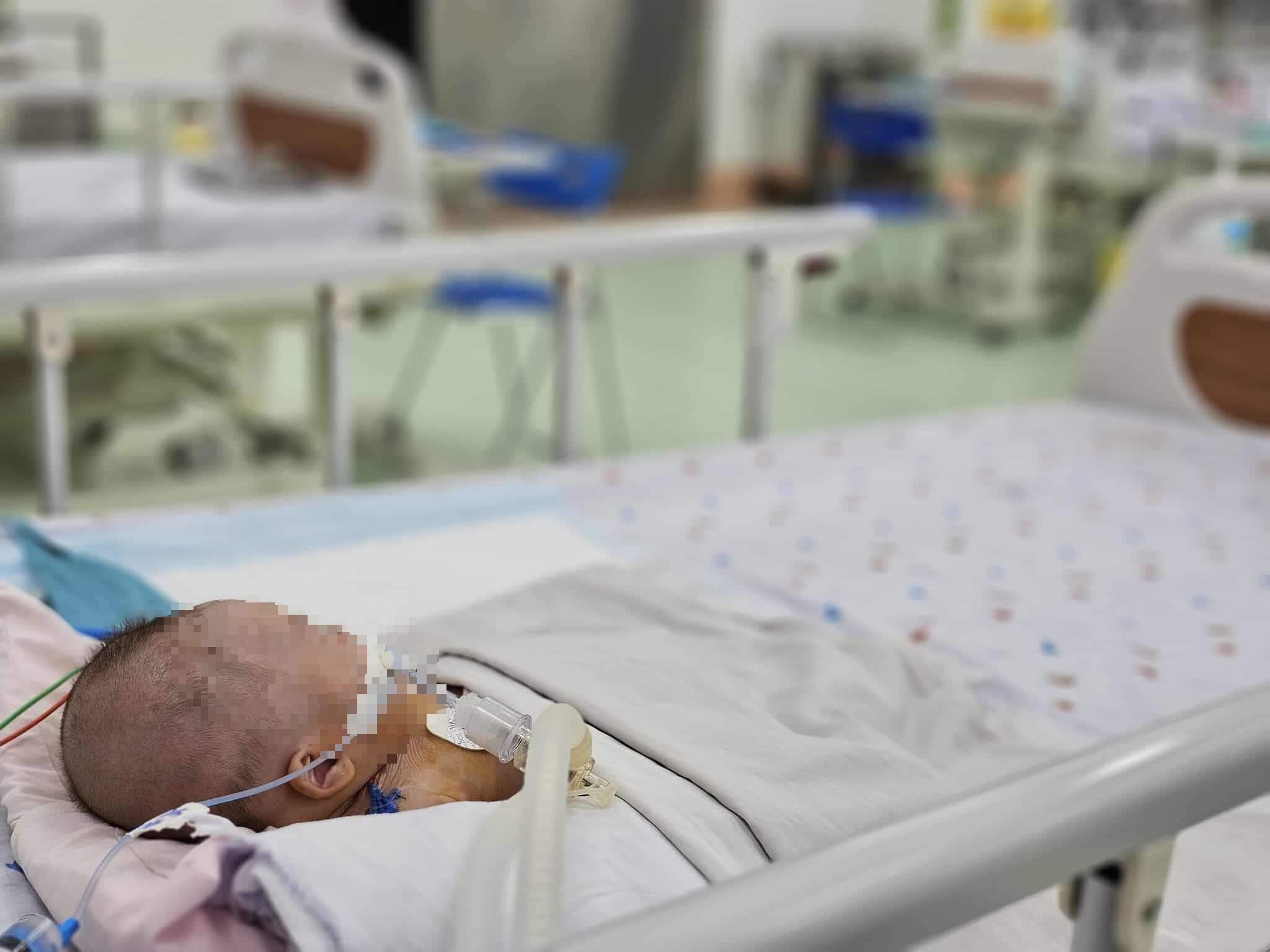 Việt Nam: Một trong những &ldquo;điểm n&oacute;ng&rdquo; của sốt xuất huyết Dengue - Ảnh 2.
