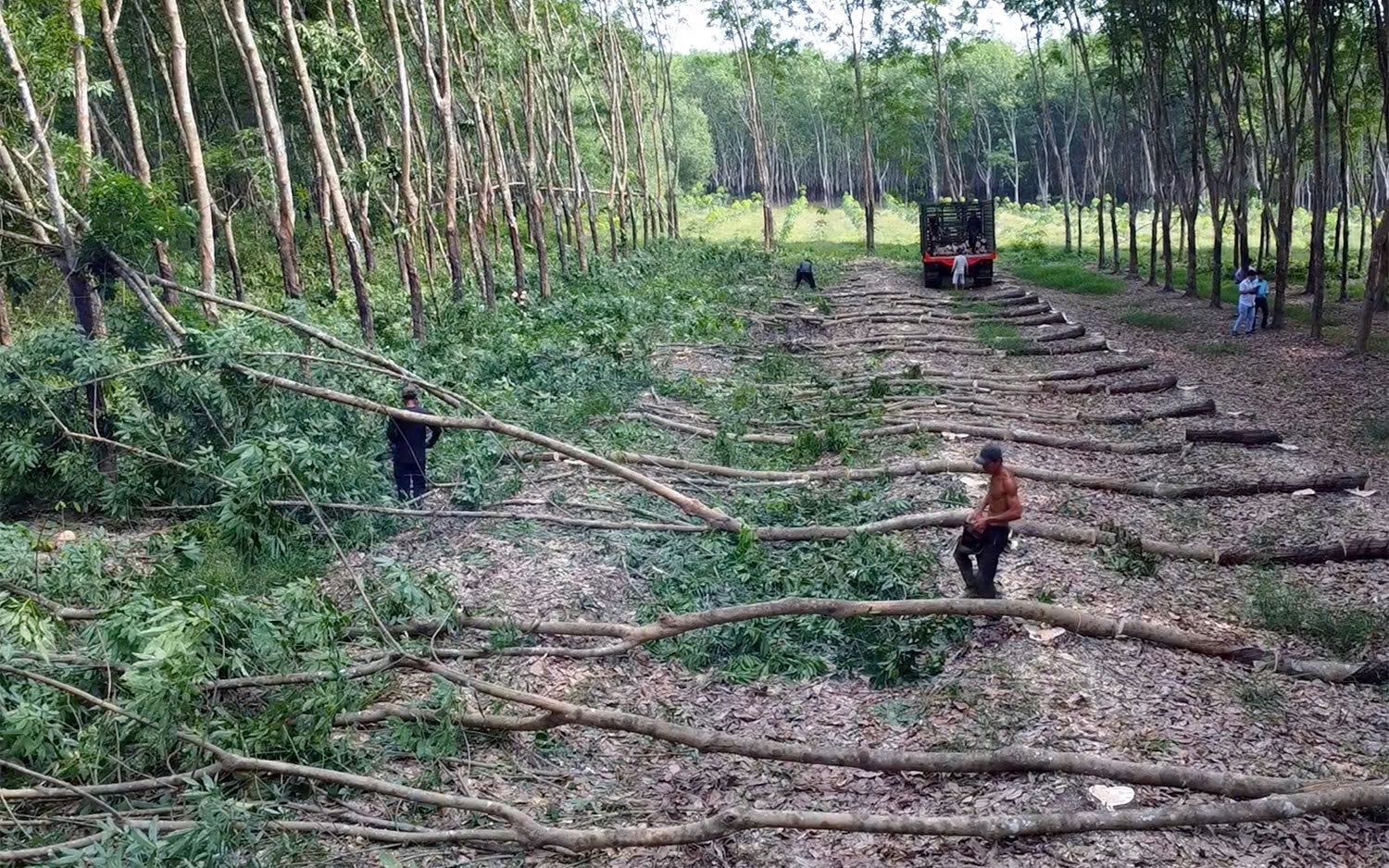 Đồng Nai: Phê bình UBND xã Đồng Tâm, Tân Lợi, Nghĩa Trung