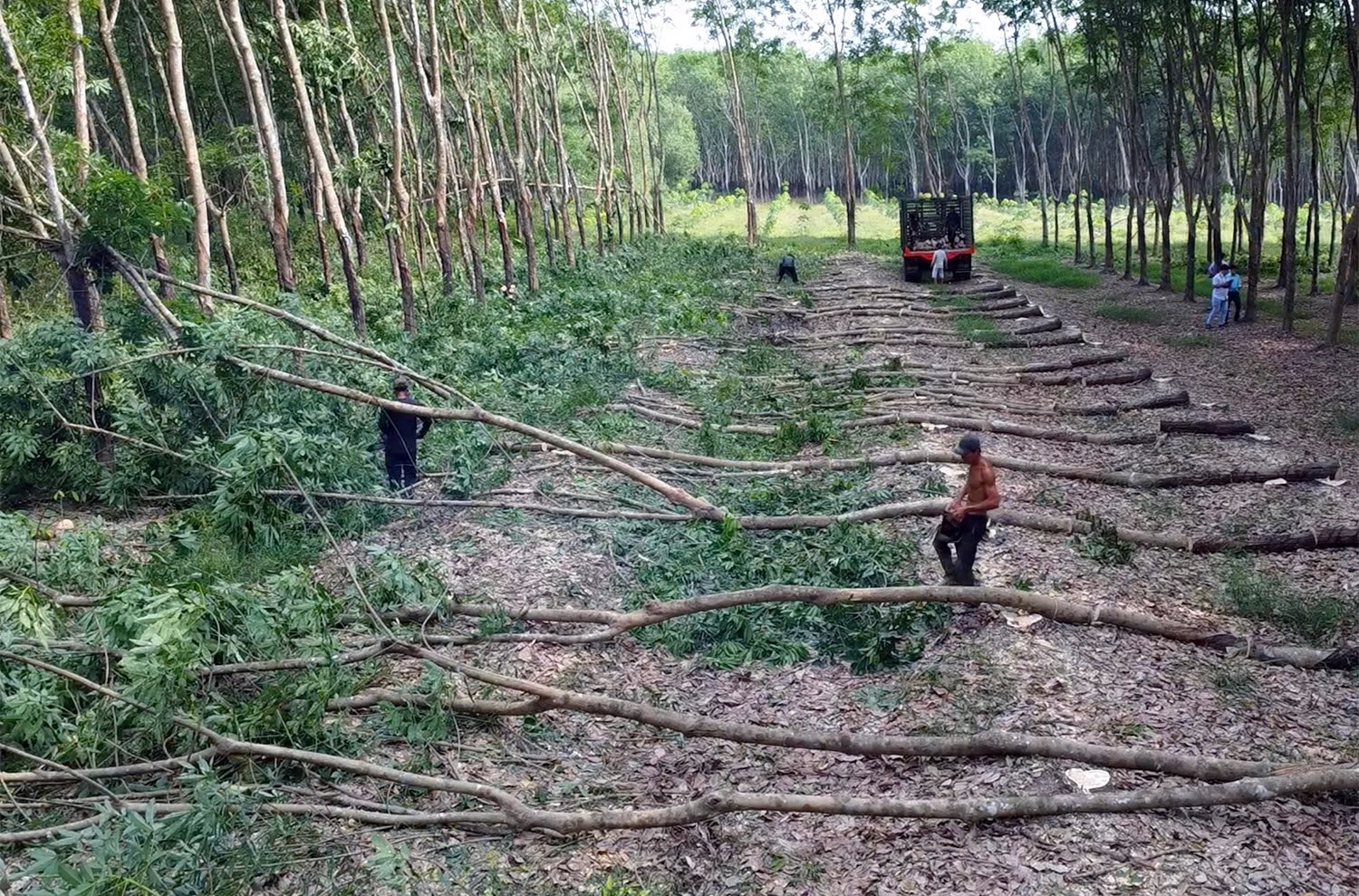 Đồng Nai ph&ecirc; b&igrave;nh 3 đơn vị giải ph&oacute;ng mặt bằng cao tốc Gia Nghĩa - Chơn Th&agrave;nh - Ảnh 1.