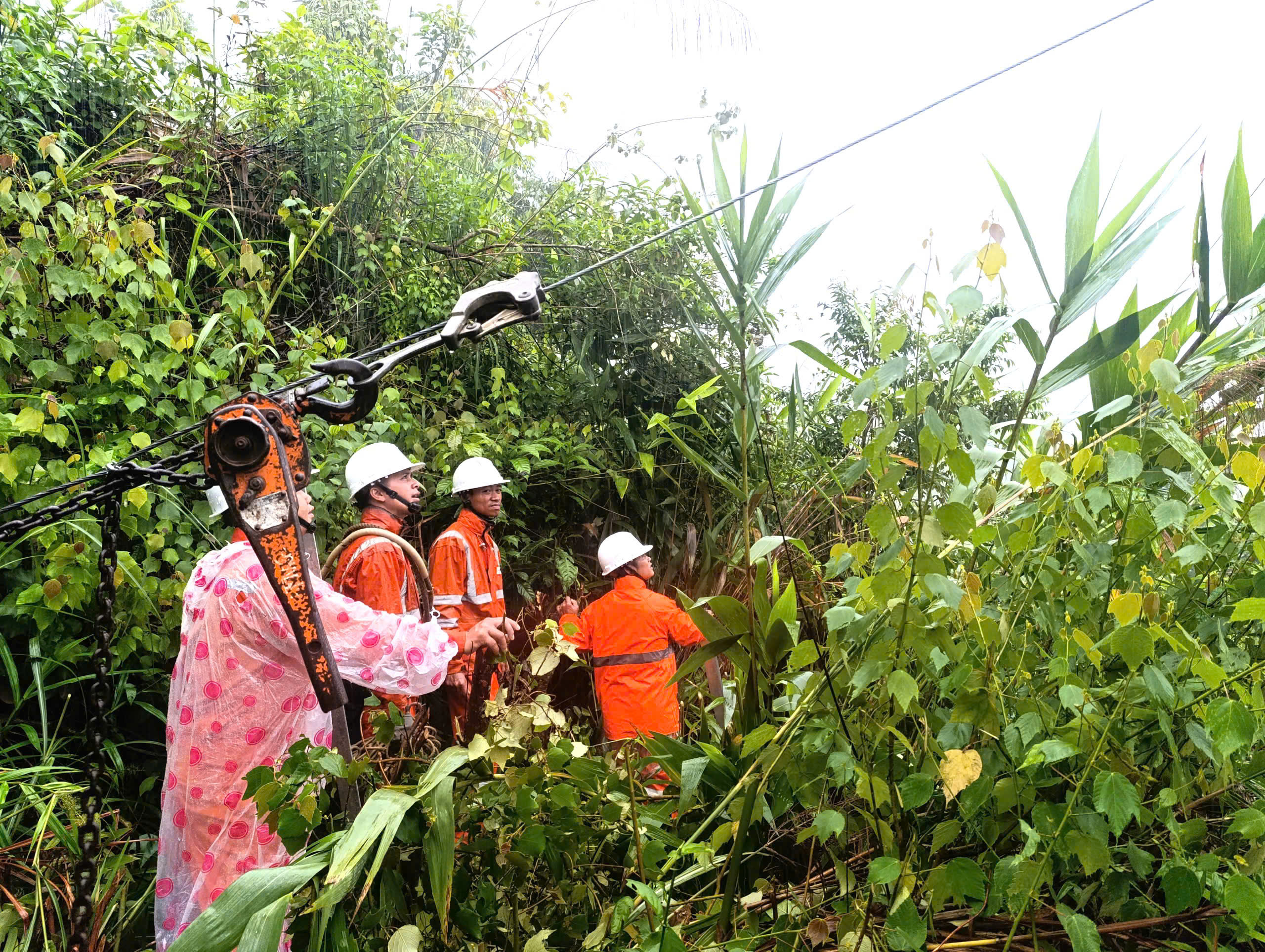 EVNCPC họp khẩn ứng phó bão số 13: Giữ vững an toàn, kỷ luật trong mưa lũ - Ảnh 6.