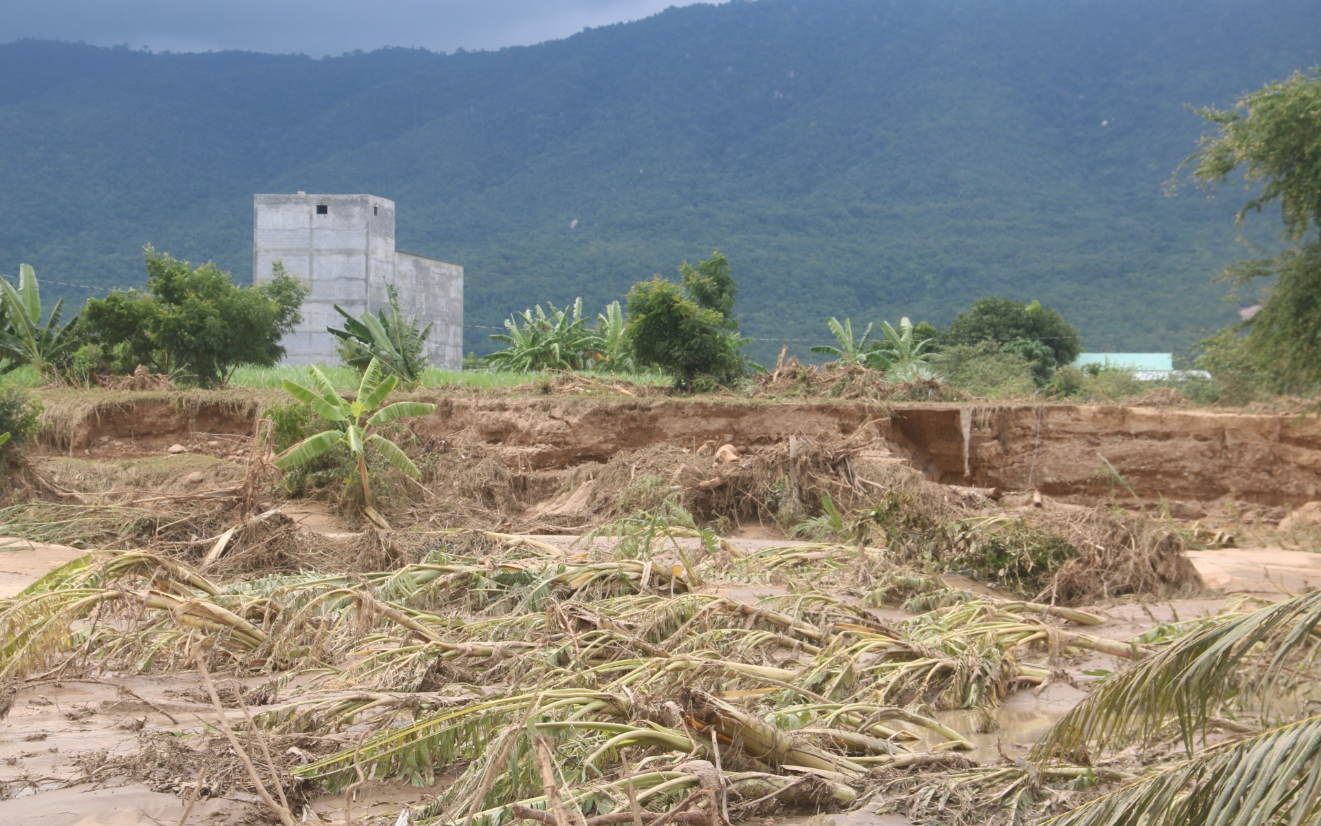 Họa khôn lường từ "bom nước"