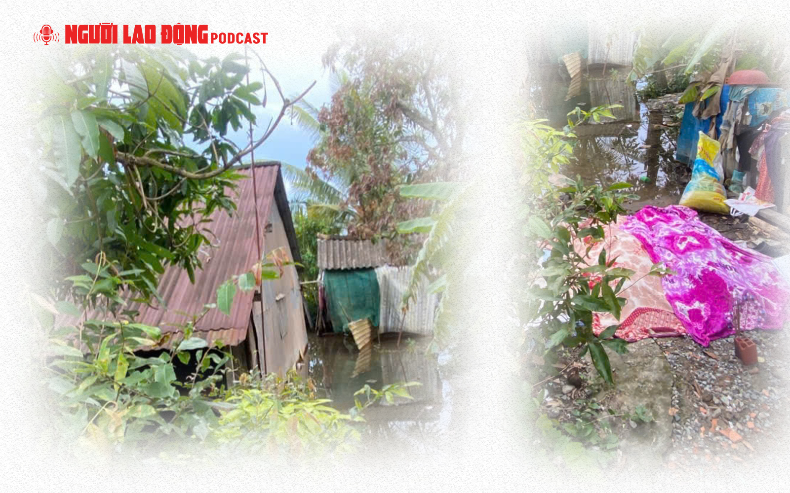 Đau lòng 2 mẹ con chết trong căn nhà ngập nước ở Đồng Tháp