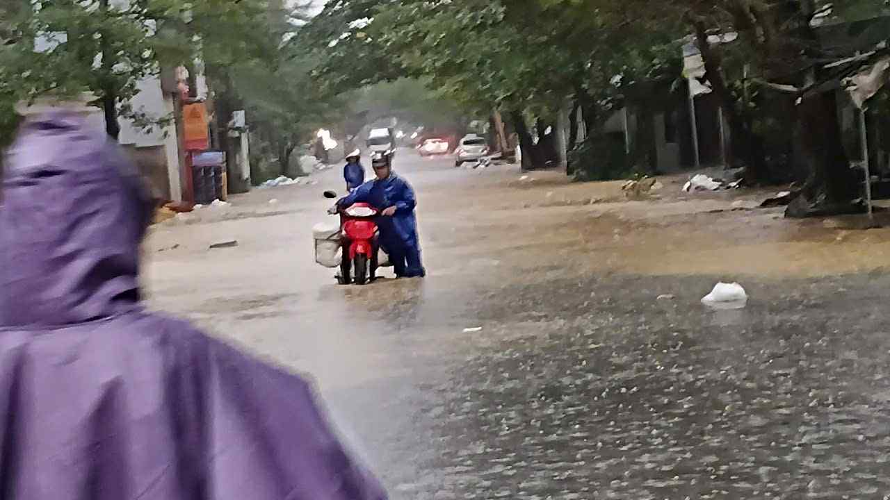 - Ảnh 14.