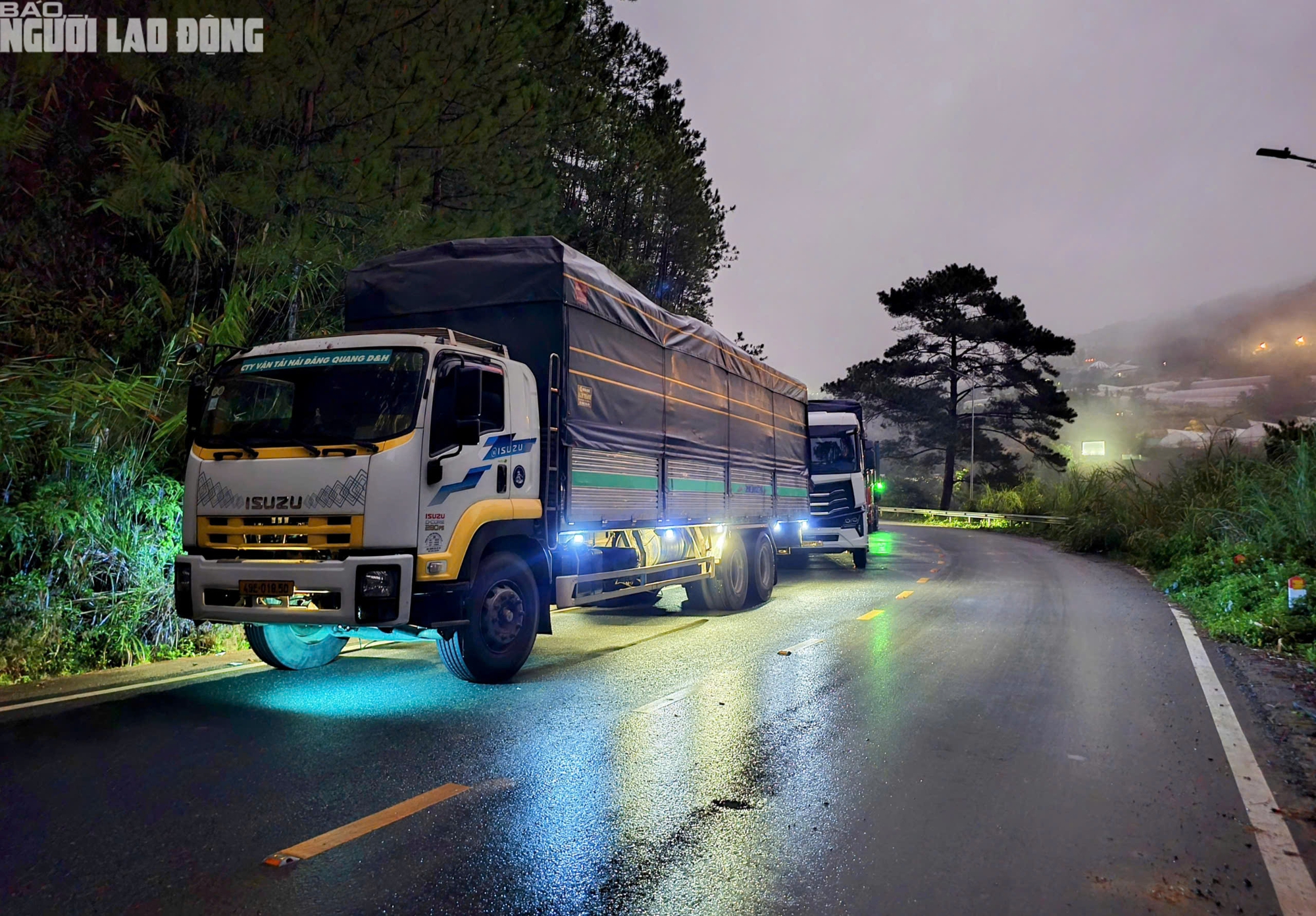 Đ&egrave;o Mimosa th&ocirc;ng tuyến trở lại, xe tải nườm nượp l&ecirc;n xuống Đ&agrave; Lạt - Ảnh 1.