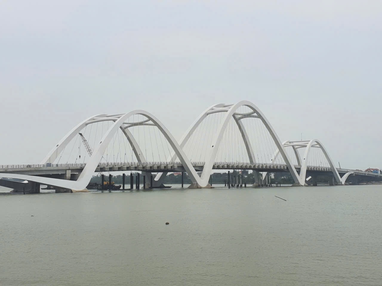  - Ảnh 1.