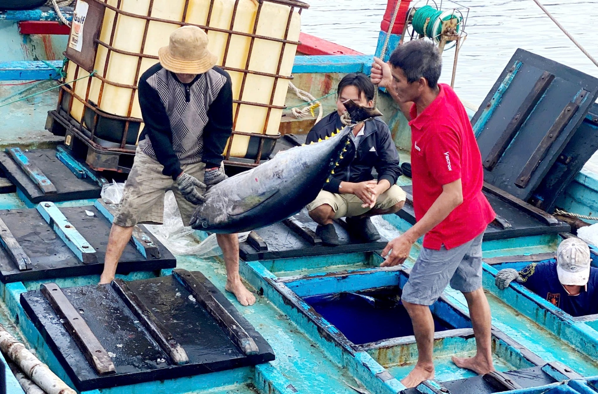 T&acirc;y Nguy&ecirc;n - Nam Trung Bộ: Cực tăng trưởng mới (*): X&acirc;y dựng chuỗi gi&aacute; trị - Ảnh 1.