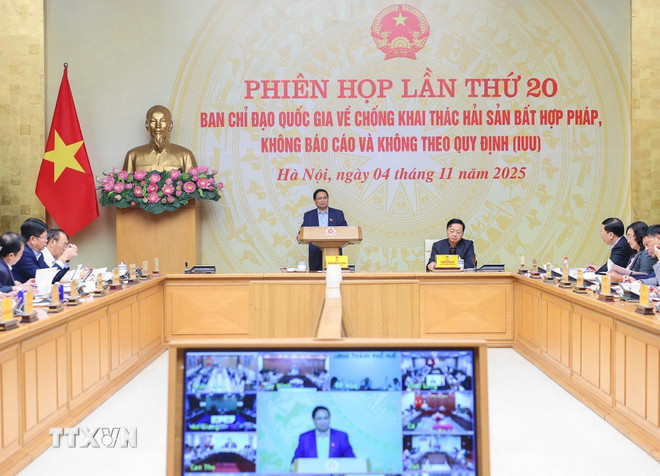 Thủ tướng chỉ đạo Bộ Công an xử lý tàu cá vi phạm khai thác IUU khẩn trương - Ảnh 1.