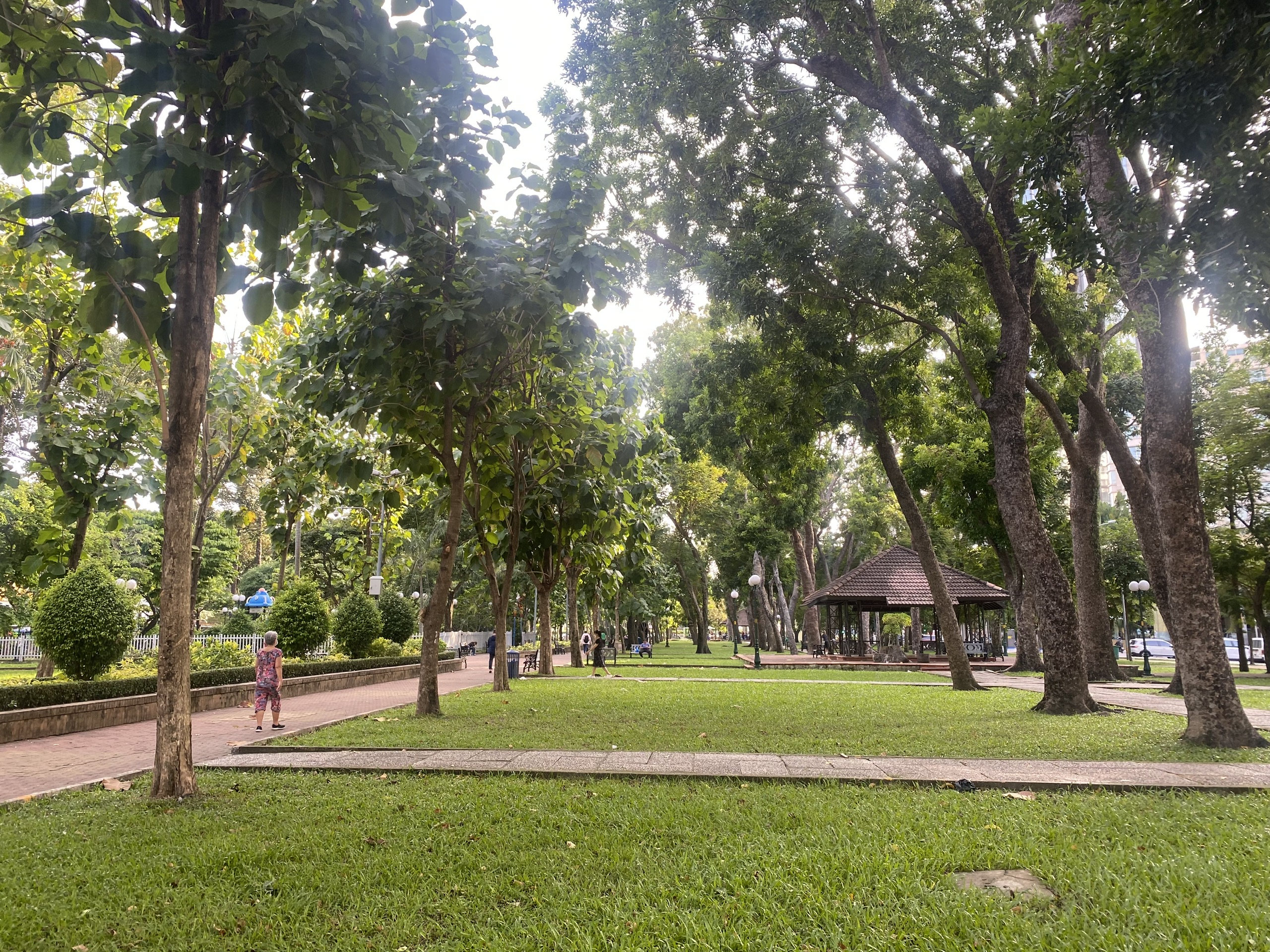 - Ảnh 1.