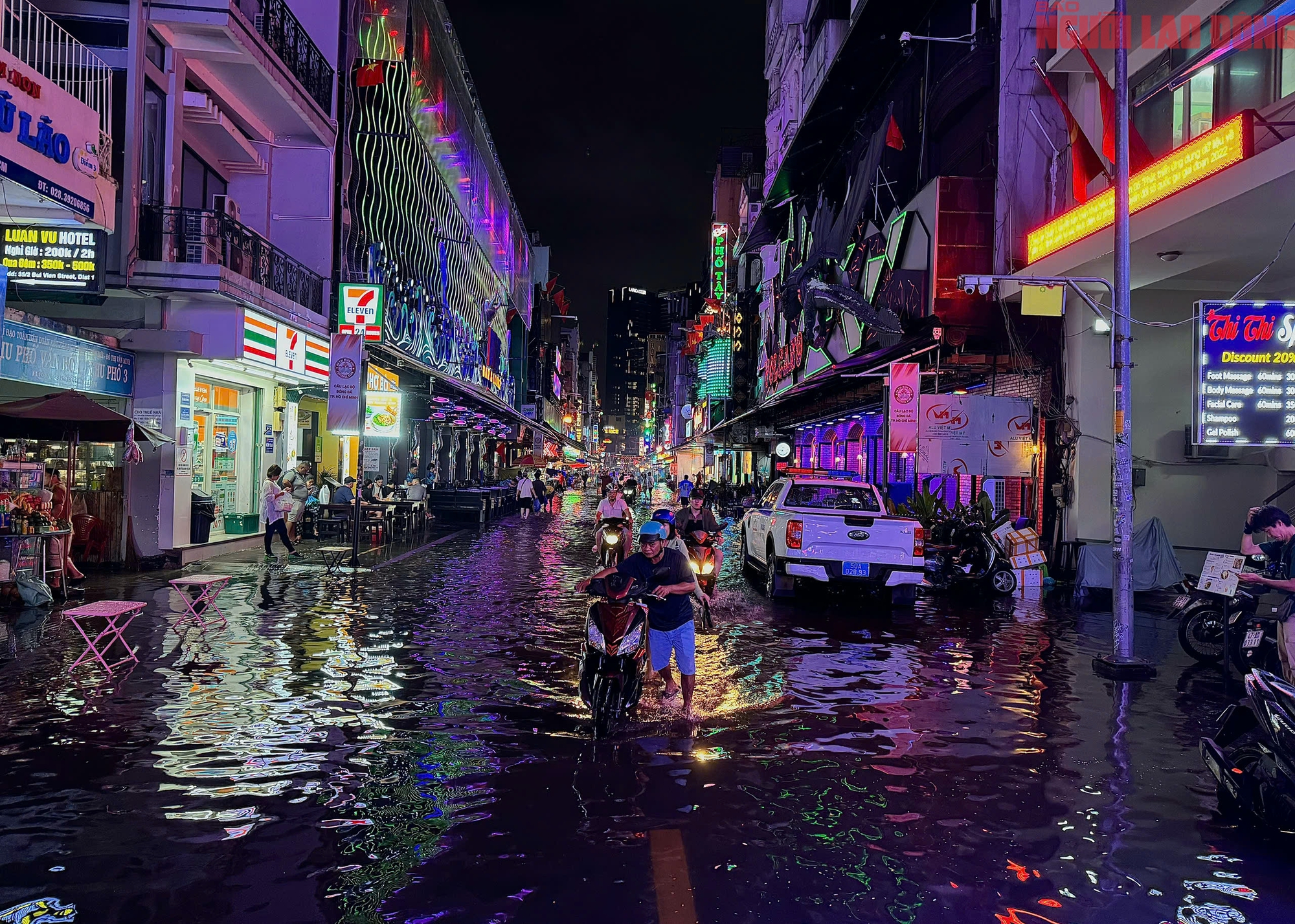 - Ảnh 13.