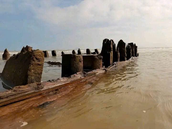 T&agrave;u cổ Hội An lộ diện Sau b&atilde;o số 13 thu h&uacute;t du kh&aacute;ch tham quan - Ảnh 6.