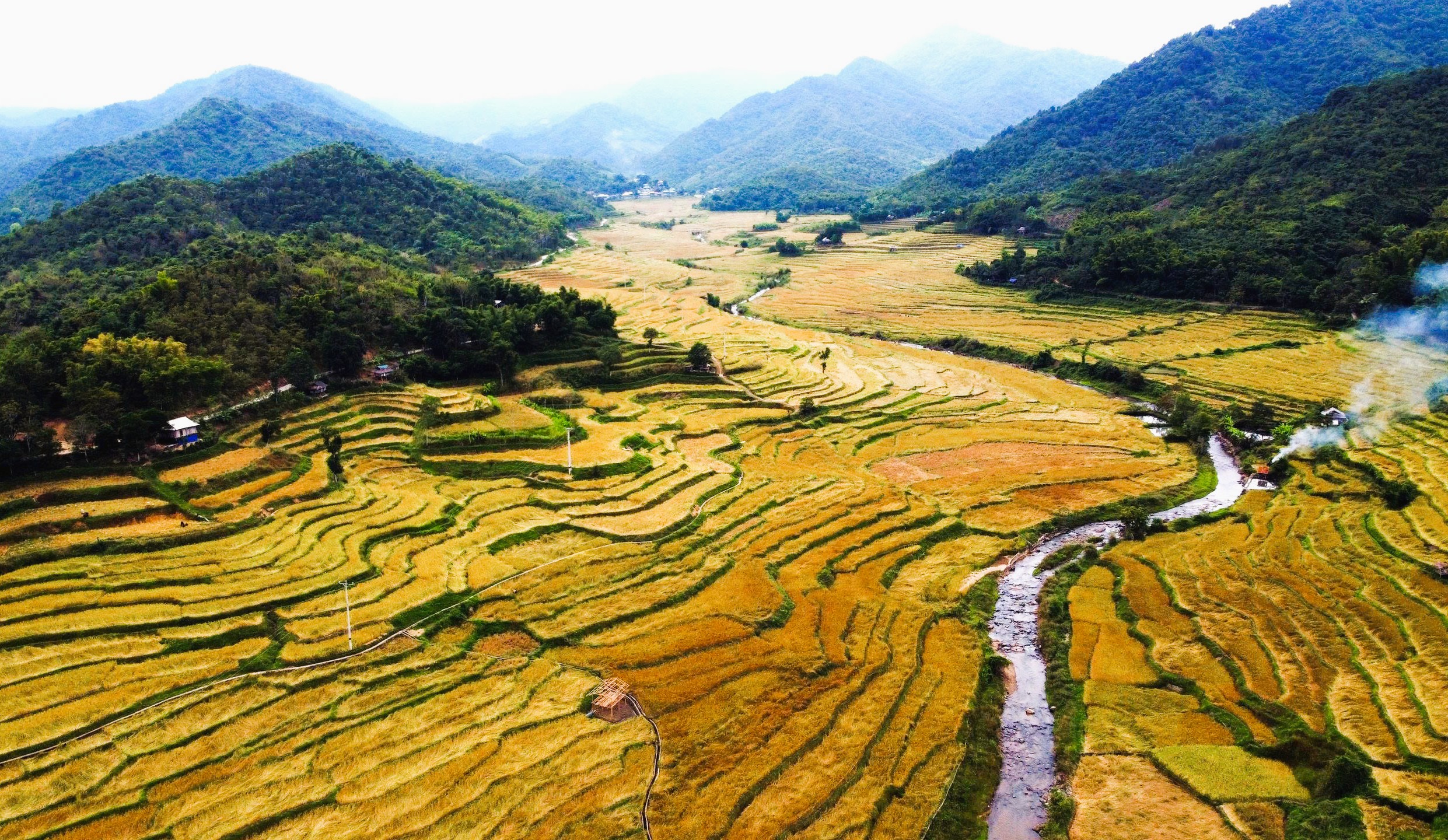 Loại cây đặc sản vào vụ, nhuộm vàng bản làng vùng cao xứ Thanh - Ảnh 12.