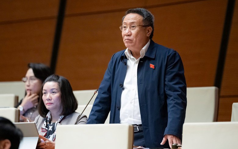 Đại biểu Quốc hội nêu bất cập trong tách thửa và chuyển đất nông nghiệp sang đất ở