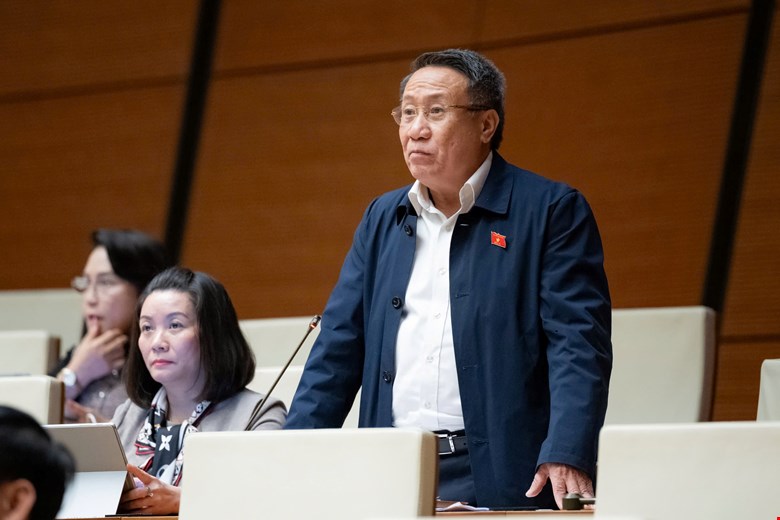 Đại biểu Quốc hội nói về bất cập trong tách thửa và chuyển đất nông nghiệp sang đất ở - Ảnh 1.