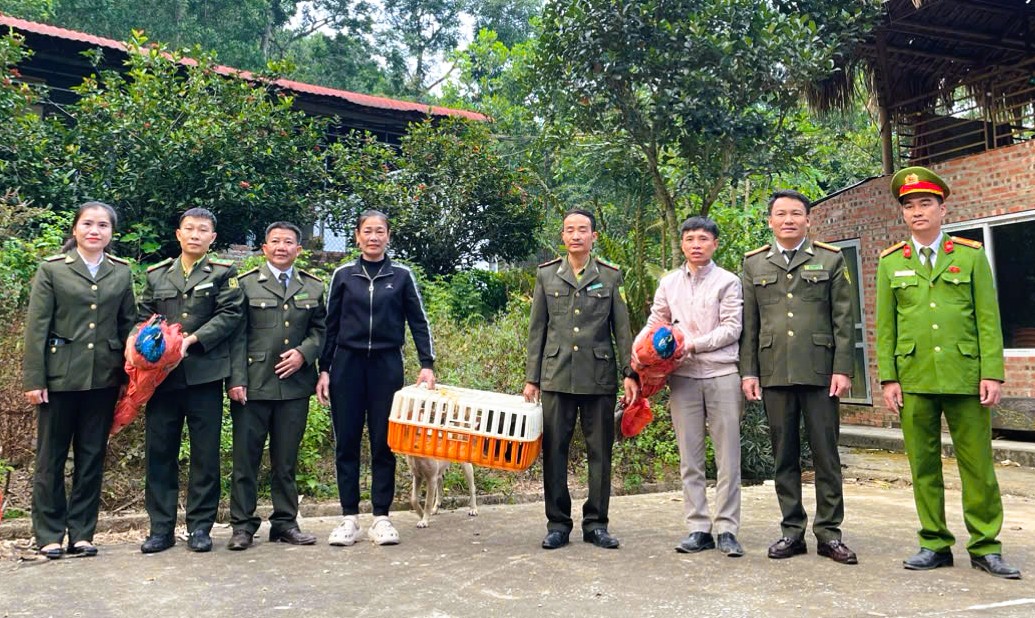 Động vật qu&yacute; hiếm bất ngờ xuất hiện, người d&acirc;n vội b&aacute;o c&ocirc;ng an - Ảnh 1.