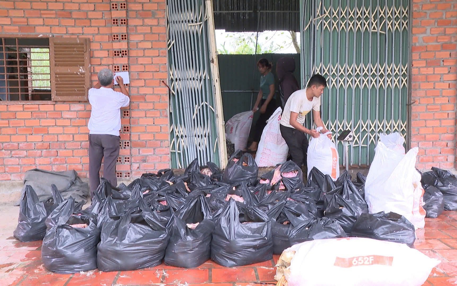 TPHCM: Phát hiện hơn 2.000 kg vịt chết bốc mùi hôi thối