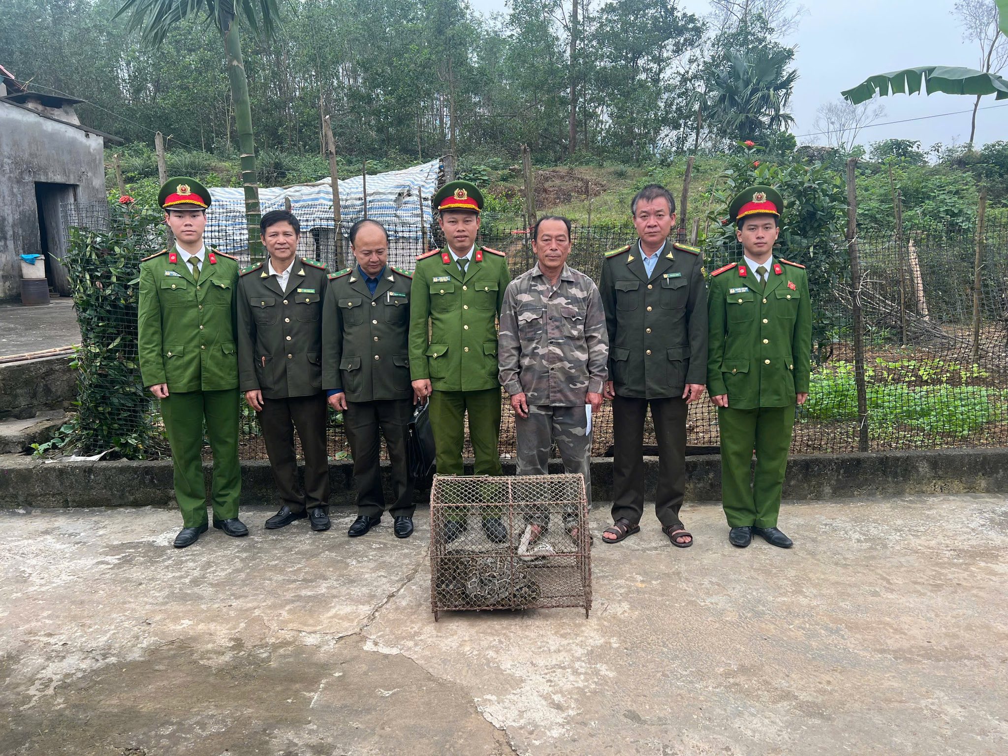 Liên tiếp phát hiện trăn đất “khủng” bò lạc vào nhà dân - Ảnh 2.