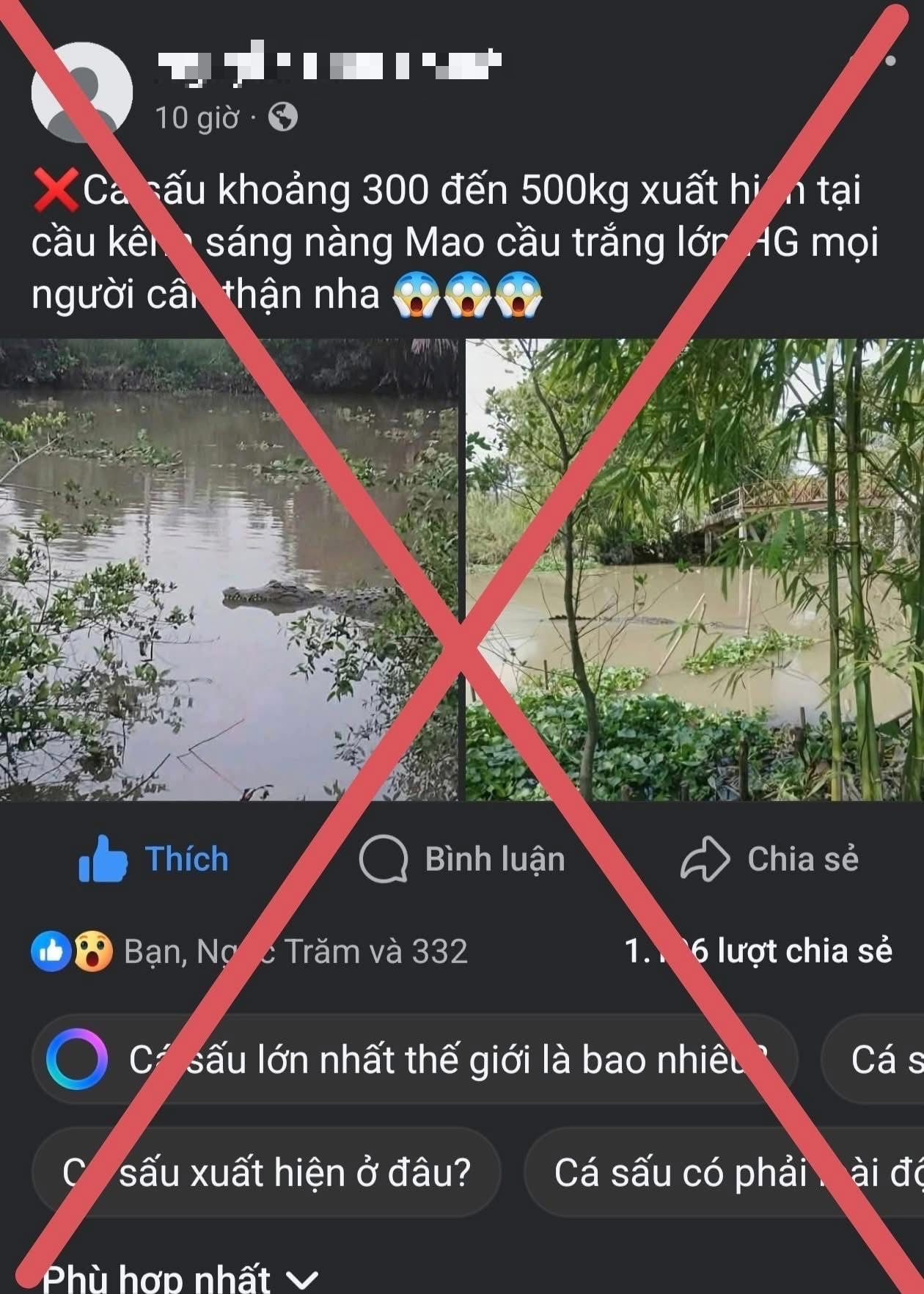 Tin giả c&aacute; sấu "khủng" xuất hiện g&acirc;y hoang mang thật ở Cần Thơ - Ảnh 1.