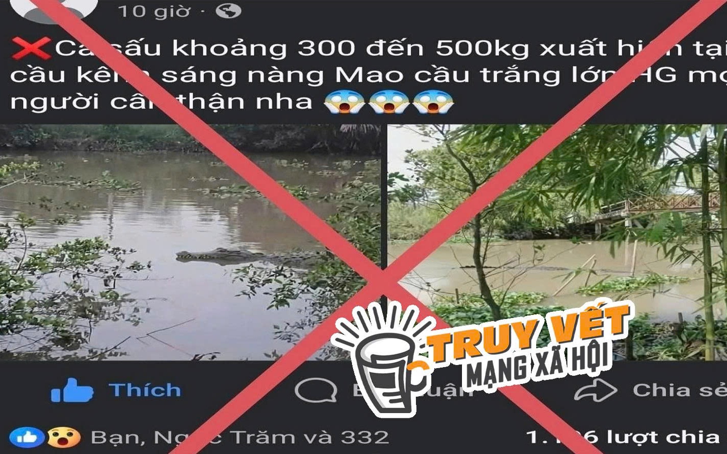 Bác bỏ thông tin lan truyền "cá sấu nặng khoảng 200-500 kg xuất hiện trên sông ở TP Cần Thơ"