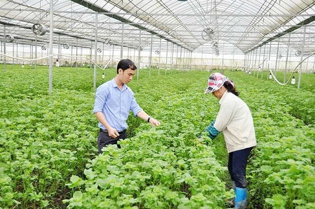 Đưa dịch vụ c&ocirc;ng về với bản l&agrave;ng, người d&acirc;n - Ảnh 2.