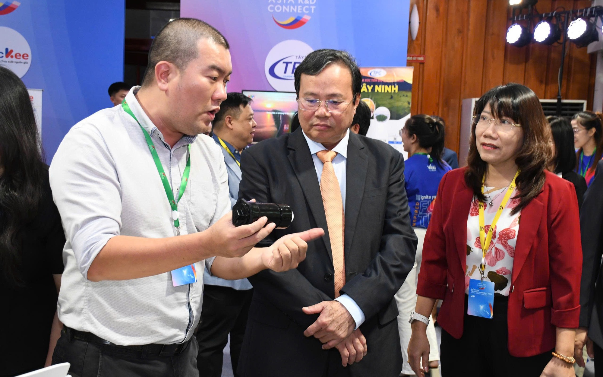Nghề nu&ocirc;i tr&acirc;u sinh sản ở T&acirc;y Ninh - Ảnh 2.
