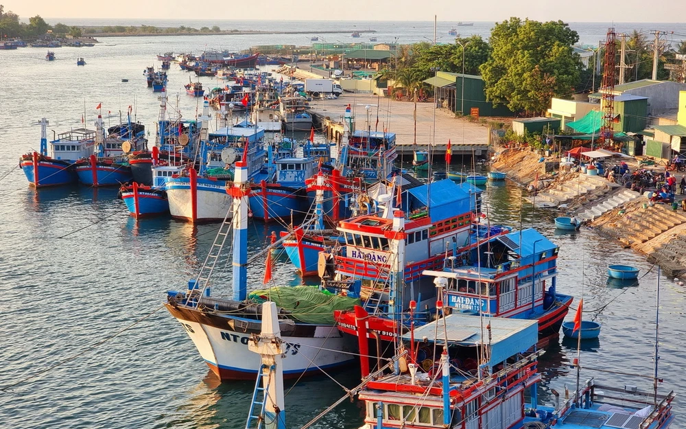 TP HCM góp phần tích cực gỡ "thẻ vàng" IUU