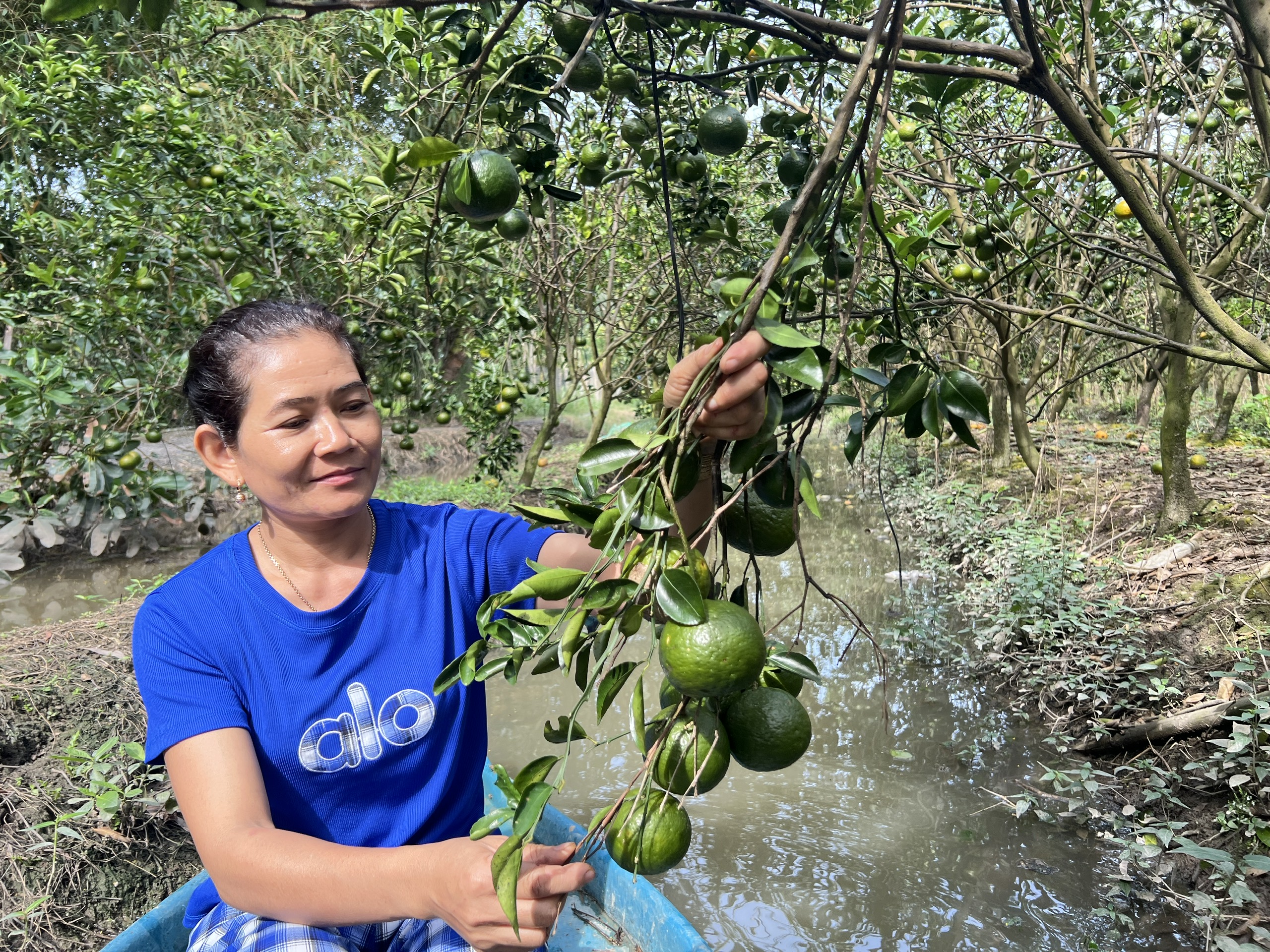 Người phụ nữ Khmer vượt kh&oacute; nu&ocirc;i 2 con ăn học từ m&ocirc; h&igrave;nh kinh tế k&eacute;p   - Ảnh 6.