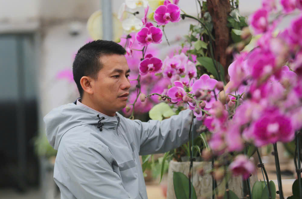 Học nghề ven biển ở Hà Tĩnh: Từ mô hình trồng lan trên vùng cát trắng tới nâng cao nghề truyền thống - Ảnh 2.