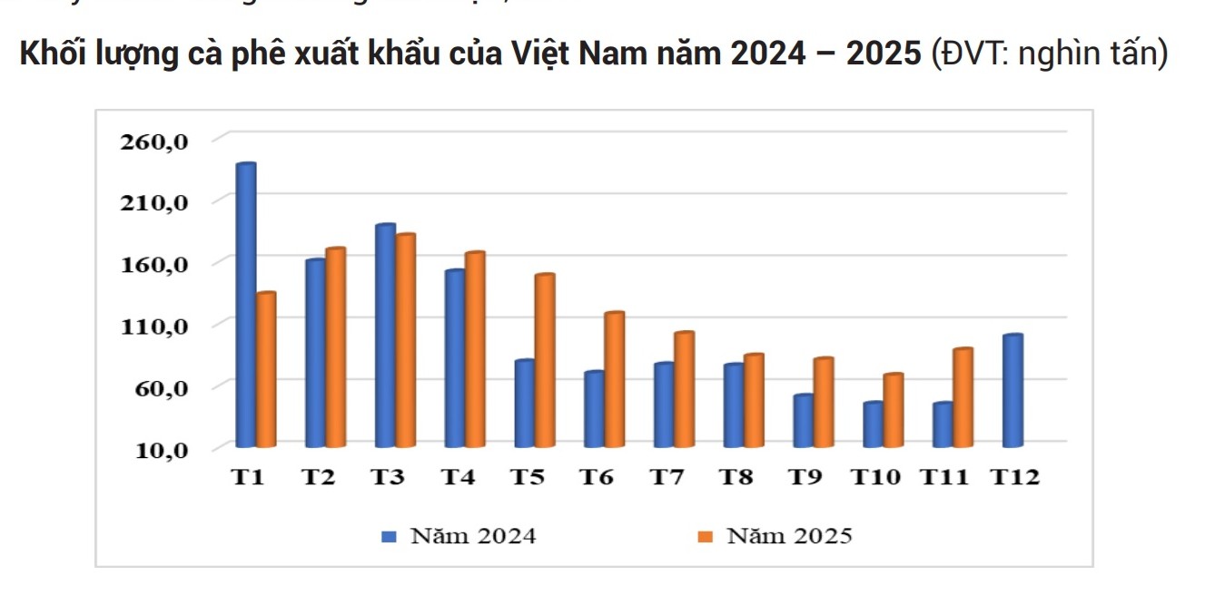 Giá cà phê hôm nay 14 - 12 giảm sâu , sức bán tăng mạnh - Ảnh 3.