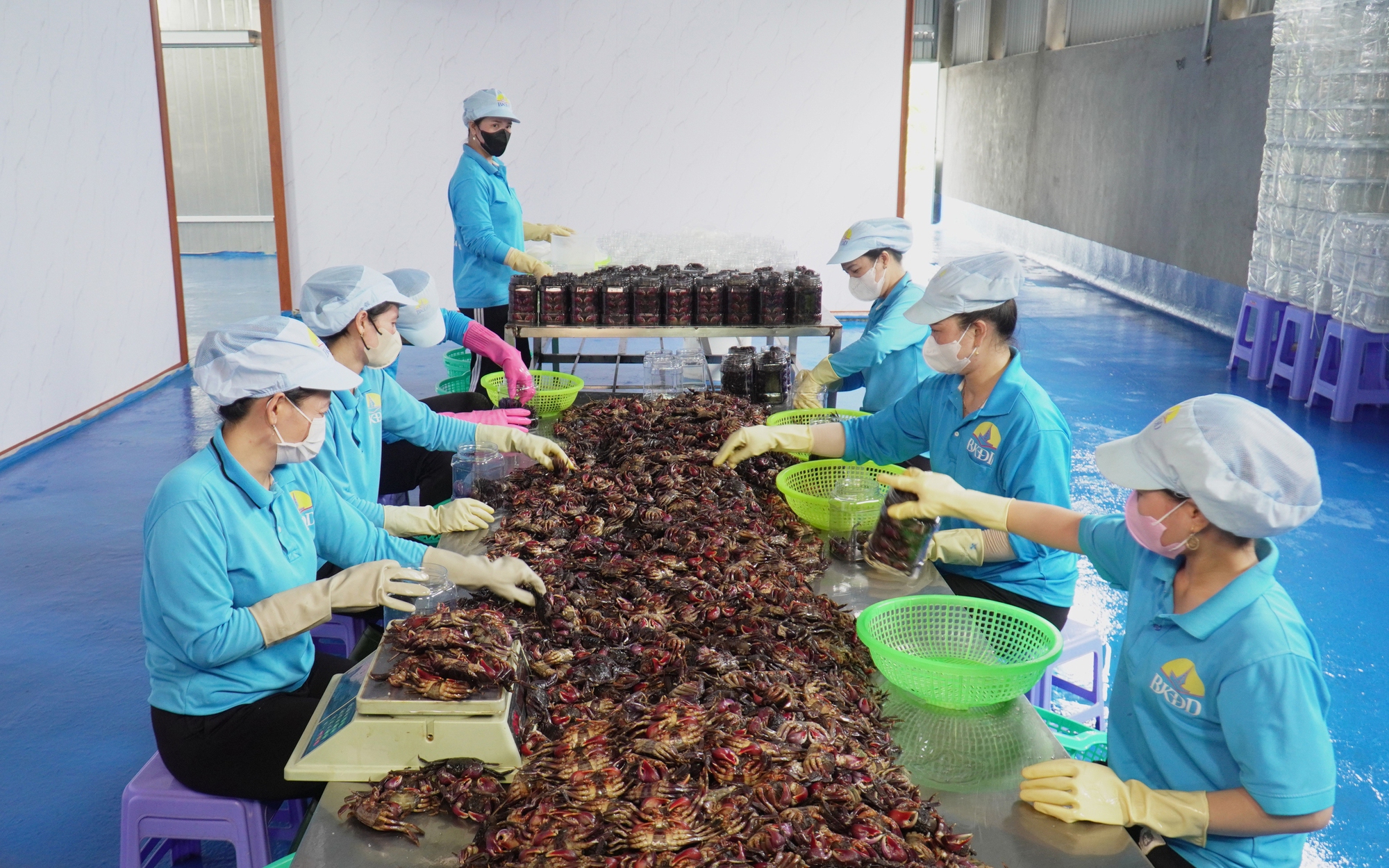 Giữ hồn tranh kiếng Bà Vệ giữa nhịp sống hiện đại - Ảnh 2.