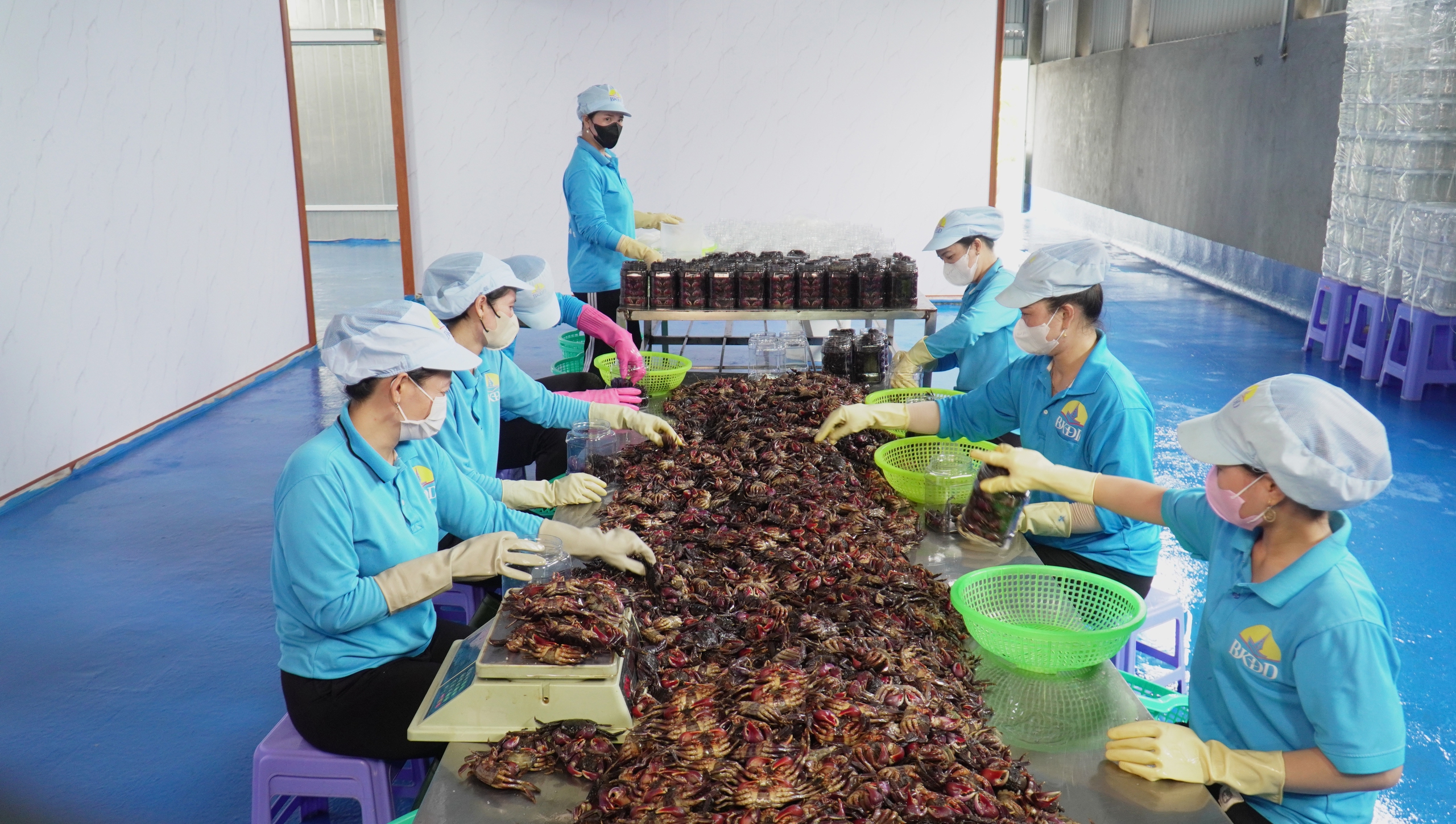 L&agrave;ng nghề đặc sản kỳ vọng m&ugrave;a Tết - Ảnh 1.