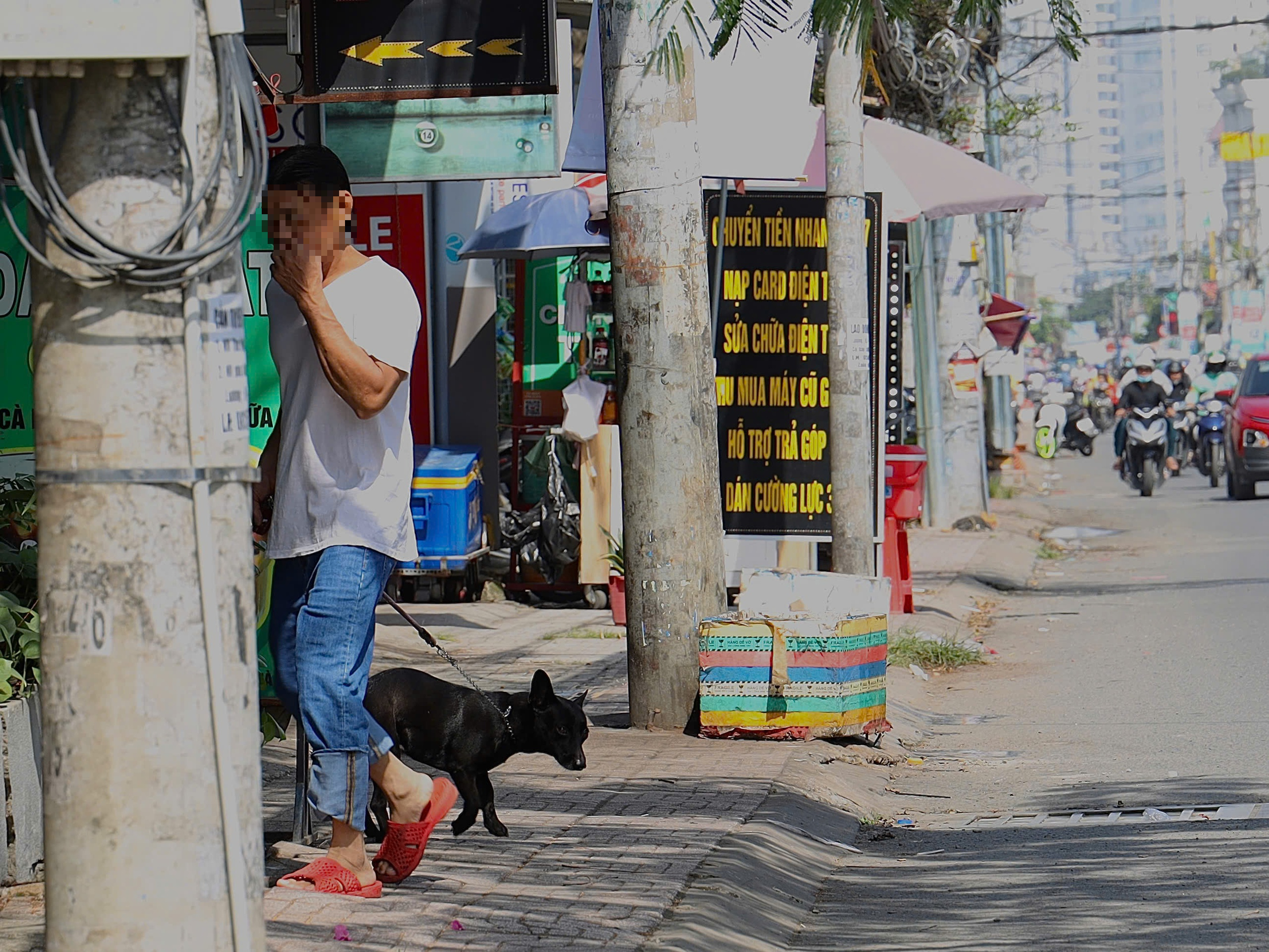 Ch&oacute; kh&ocirc;ng rọ m&otilde;m, thả r&ocirc;ng tr&ecirc;n đường phố TPHCM trước thời điểm siết chặt quản l&yacute; - Ảnh 1.