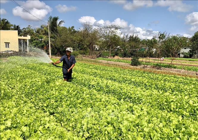 Minh bạch v&agrave; kỷ cương trong c&ocirc;ng t&aacute;c ph&ograve;ng chống t&aacute;i ngh&egrave;o tại Việt Nam - Ảnh 2.