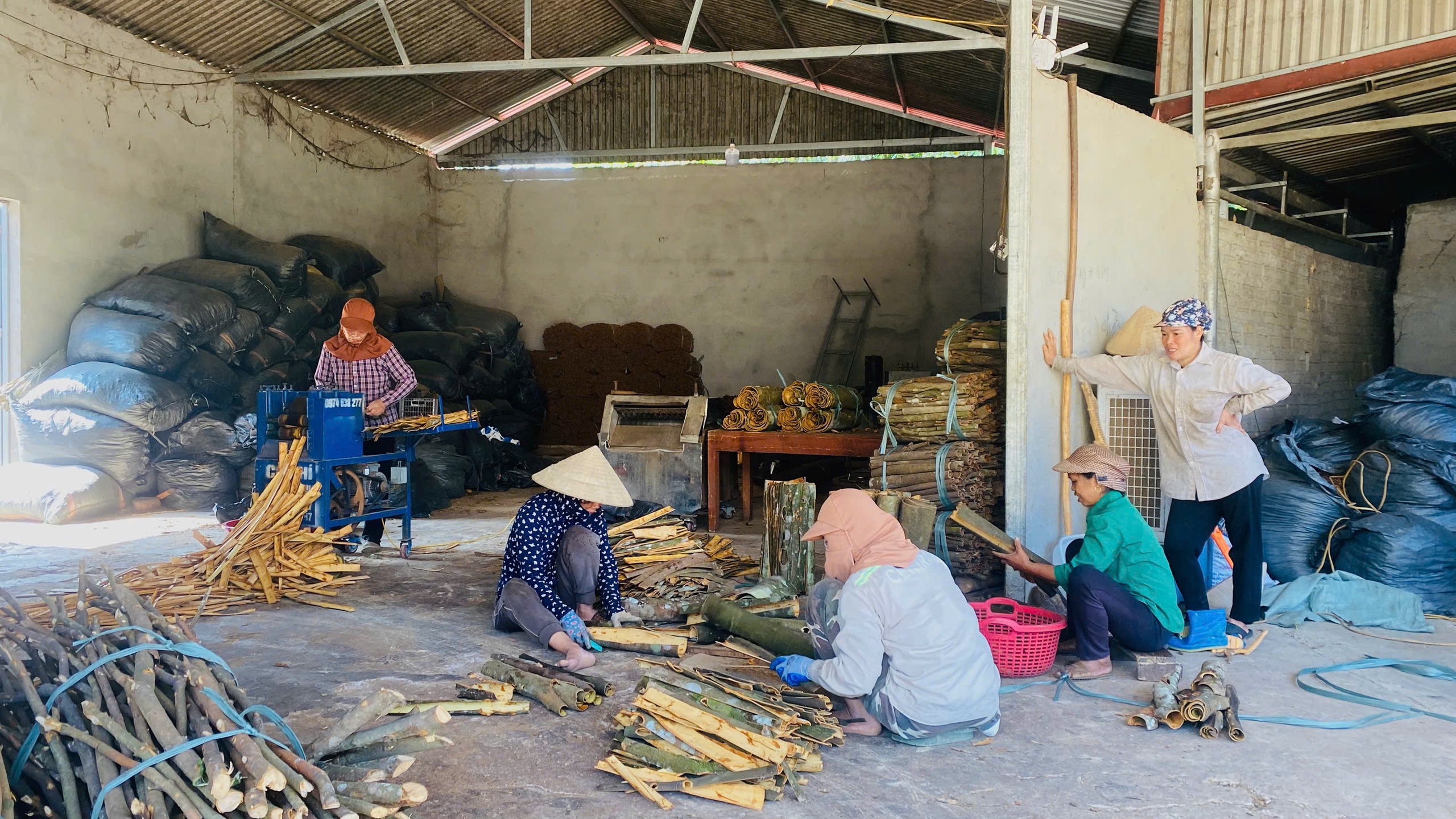 Minh bạch v&agrave; kỷ cương trong c&ocirc;ng t&aacute;c ph&ograve;ng chống t&aacute;i ngh&egrave;o tại Việt Nam - Ảnh 1.