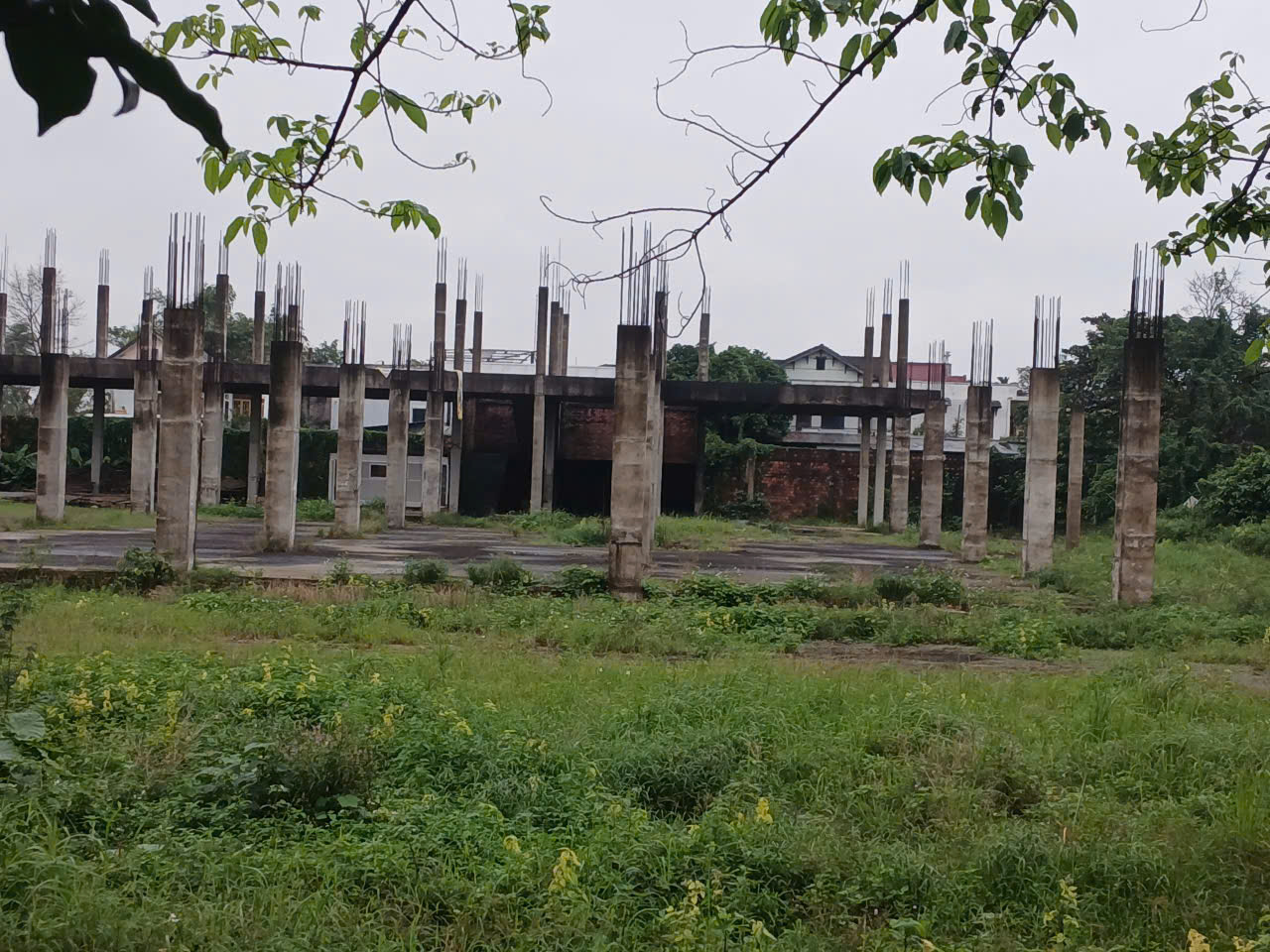  - Ảnh 4.
