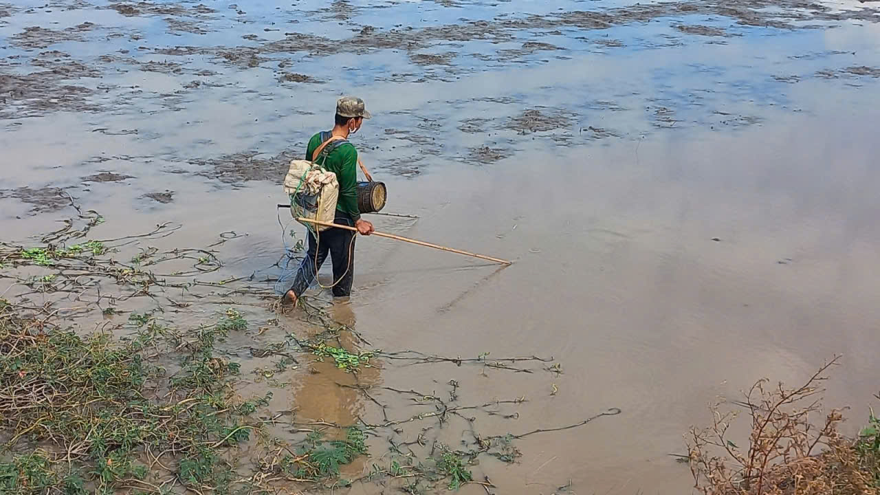 Ngư dân quyết bỏ nghề khai thác hủy diệt - Ảnh 2.