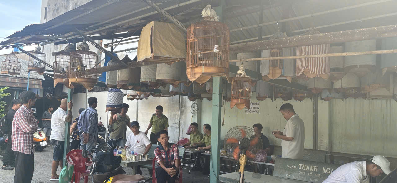 Nỗi lòng người nuôi chim cảnh - Ảnh 1.