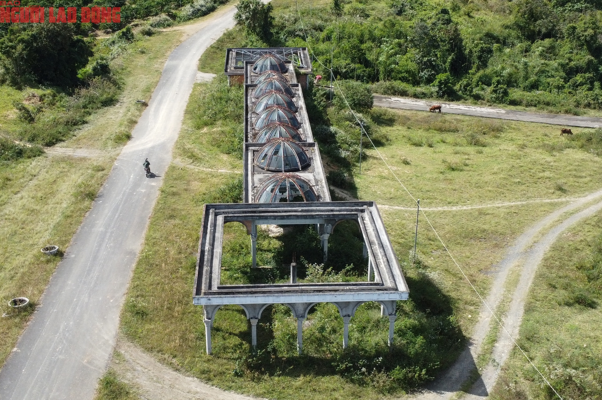Bên trong siêu dự án Đại Ninh vừa bị thu hồi hơn 1.400 ha đất ở Lâm Đồng - Ảnh 5.