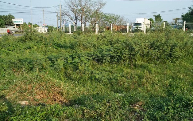 Đề xuất quy định chi tiết về chuyển đất vườn sang đất ở, người dân được giảm tiền sử dụng đất