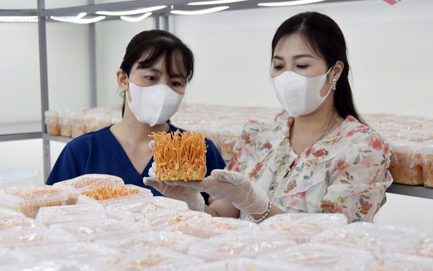Lan toả tinh thần khởi nghiệp, đổi mới sáng tạo