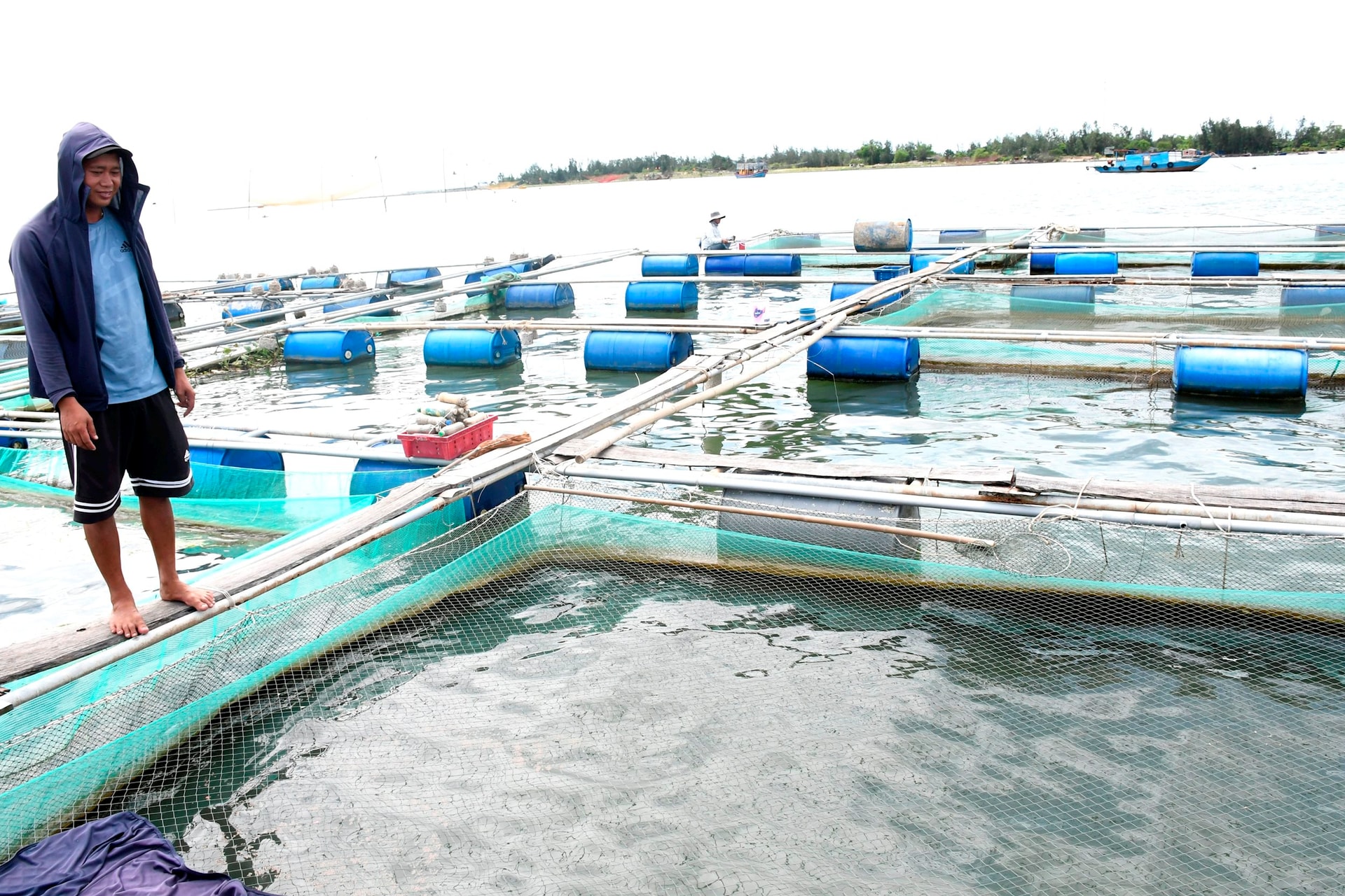 Sinh kế bền vững từ nghề nu&ocirc;i biển - Ảnh 3.